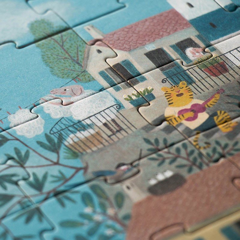 imagination and observation